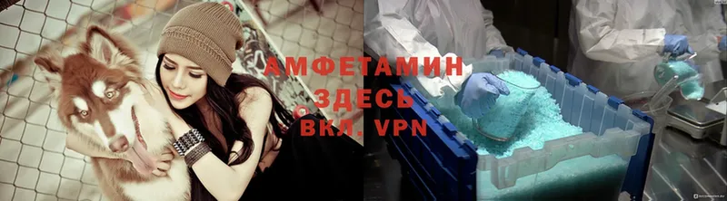 кракен онион  darknet какой сайт  Amphetamine VHQ  Инсар 